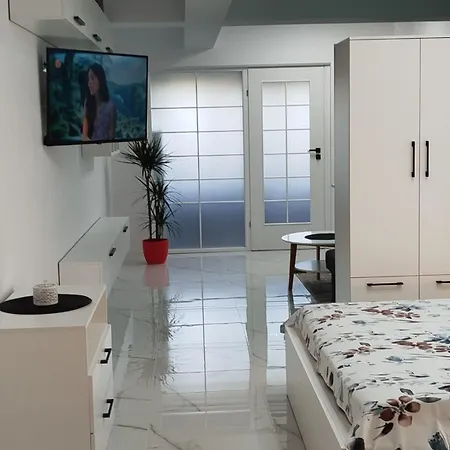 Apartment Studio Tudor